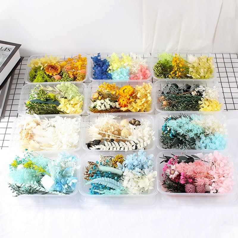 Pack de Material Floral Preservado em Caixa com Flores Reais Secas ao Ar b3