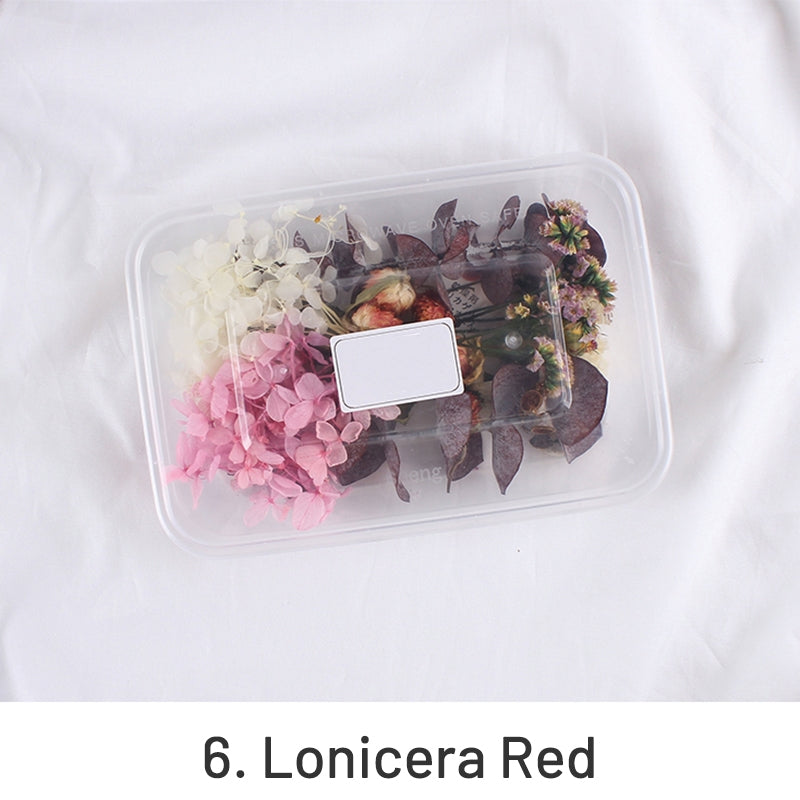 Pack de Material Floral Preservado em Caixa com Flores Reais Secas ao Ar sku-6