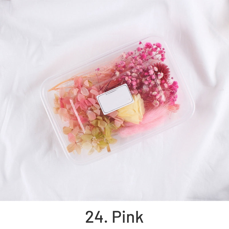 Pack de Material Floral Preservado em Caixa com Flores Reais Secas ao Ar sku-24