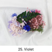 25. Violeta