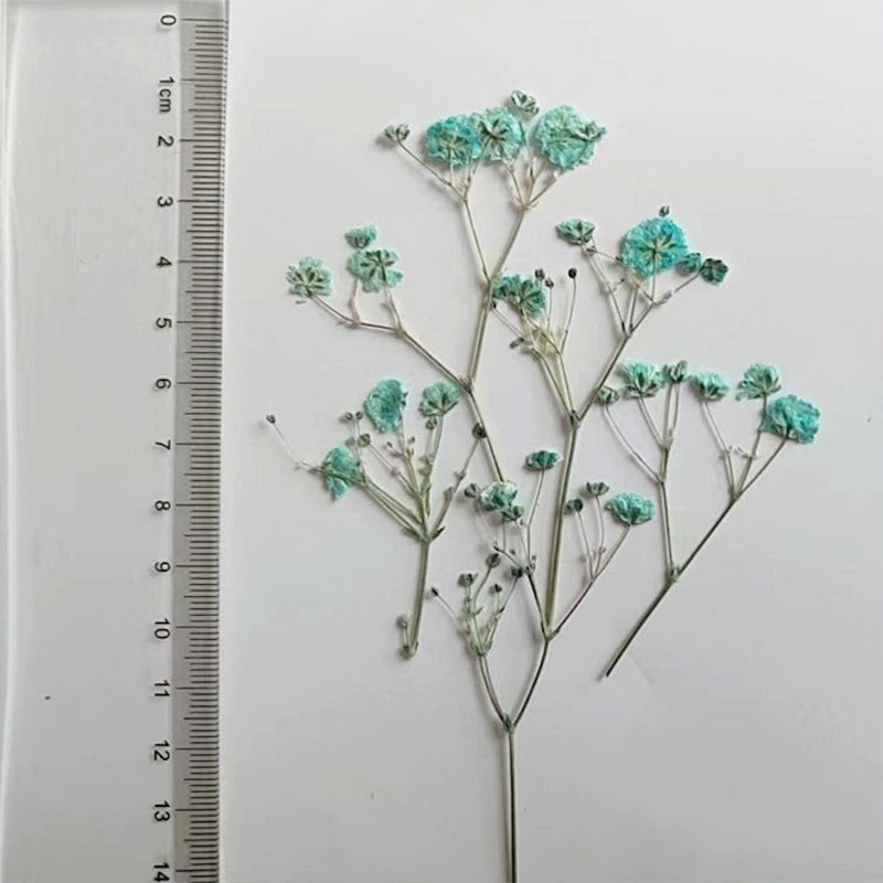 Pacote de Material de Flores Secas DIY Respiração de Bebé c