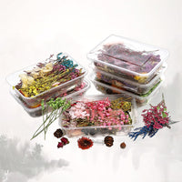 16. Conjunto Completo (10% DE DESCONTO)