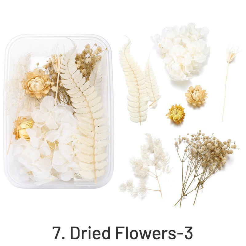 Flores Secas Decorativas Preservadas em Caixa sku-7