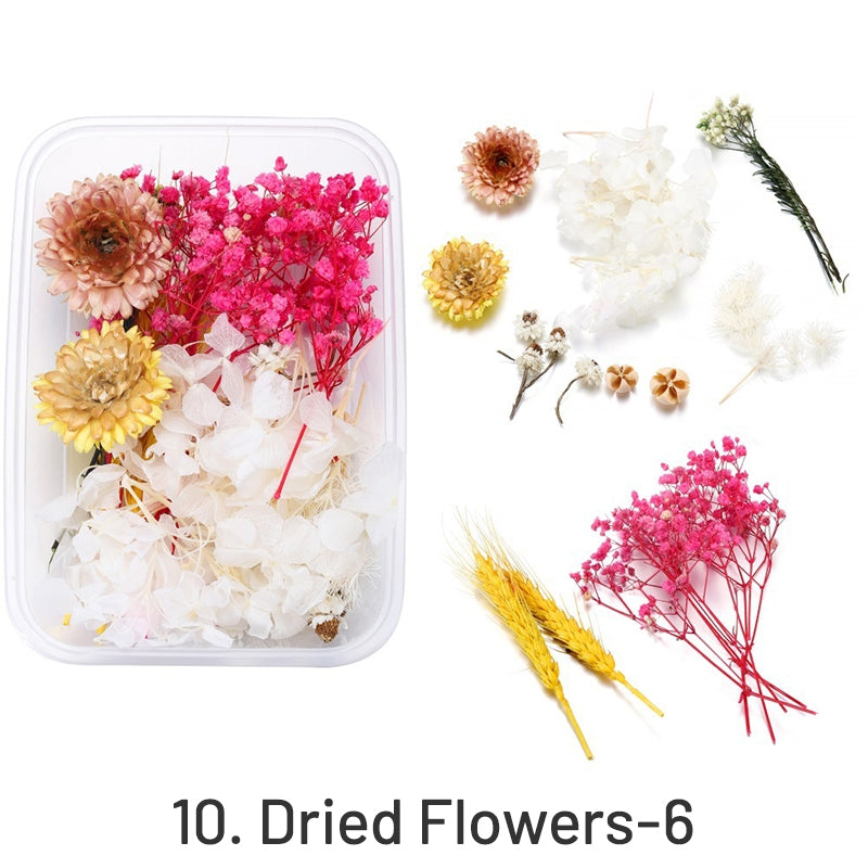 Flores Secas Preservadas Decorativas em Caixa sku-10