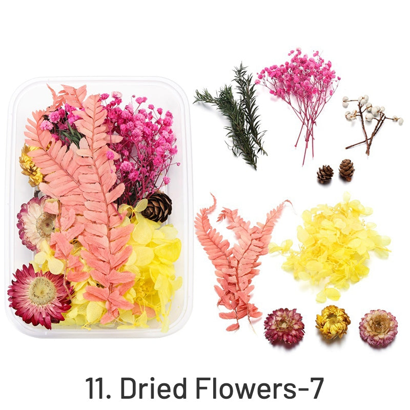 Flores Secas Preservadas Decorativas em Caixa sku-11