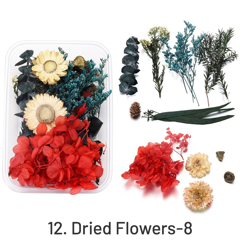 Flores Secas Preservadas Decorativas em Caixa sku-12