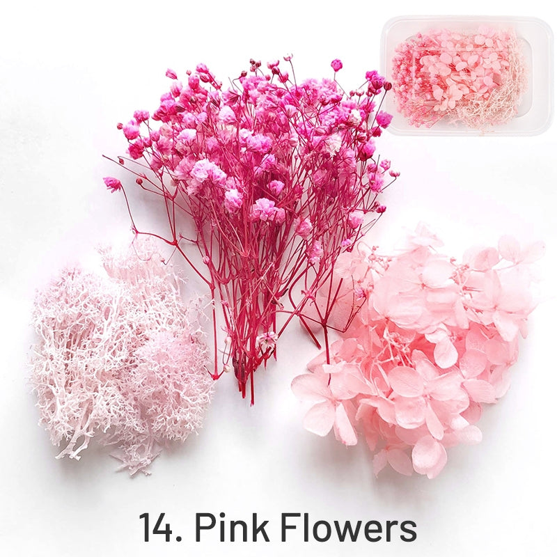 Flores Secas Preservadas Decorativas em Caixa sku-14