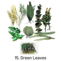 15. Folhas Verdes 33g