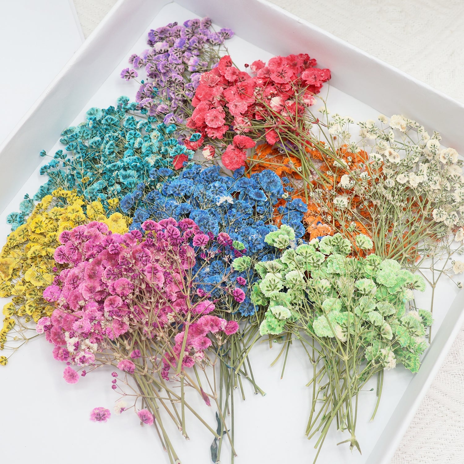 Pacote de Material de Flores Secas DIY Respiração de Bebé 1
