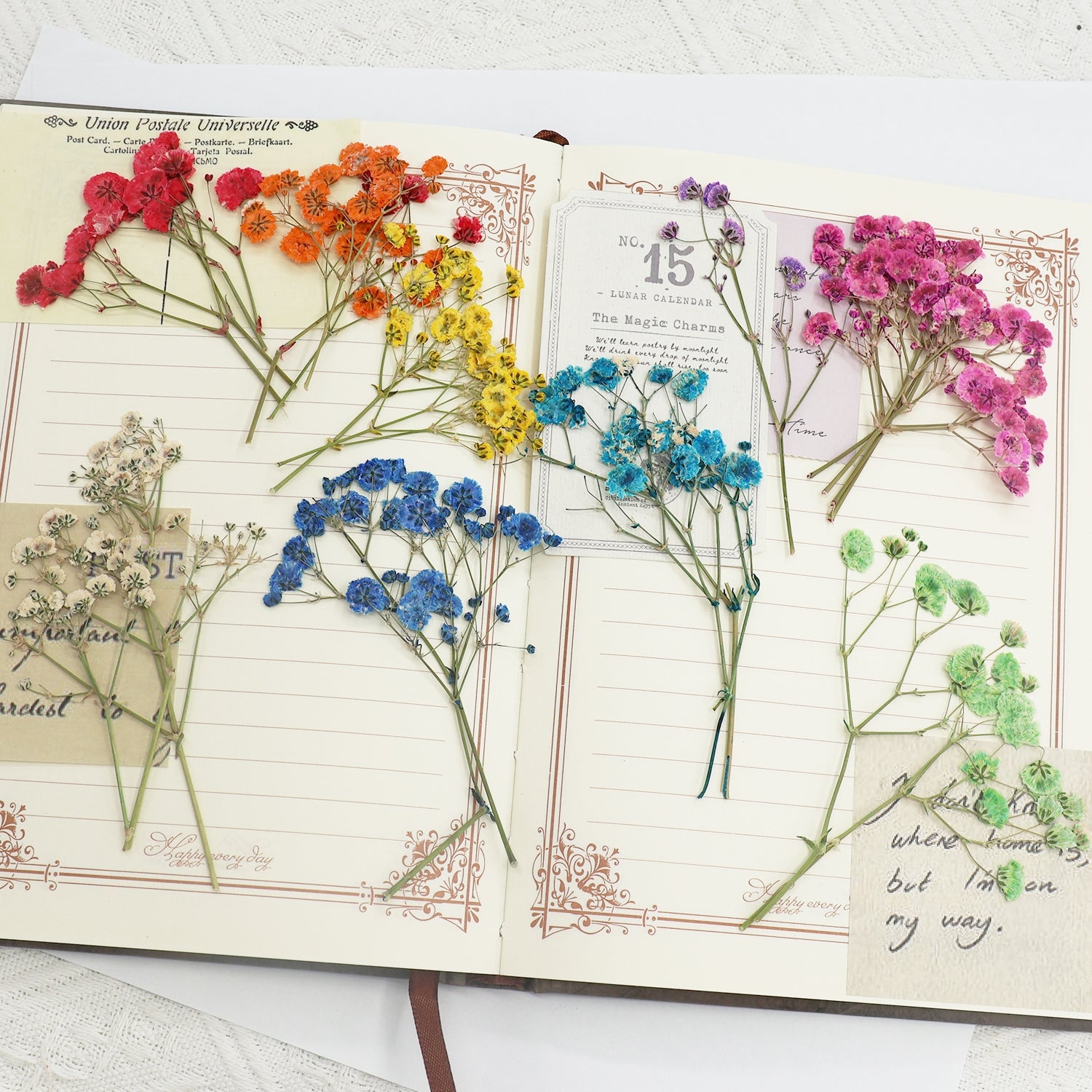 Pack de Materiais de Flores Secas DIY Respiração de Bebé 4
