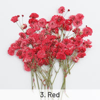 3. Vermelho