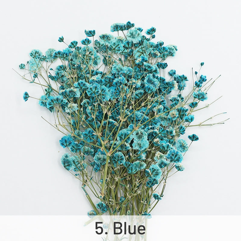 Pacote de Material de Flores Secas DIY Respiração de Bebé sku-5