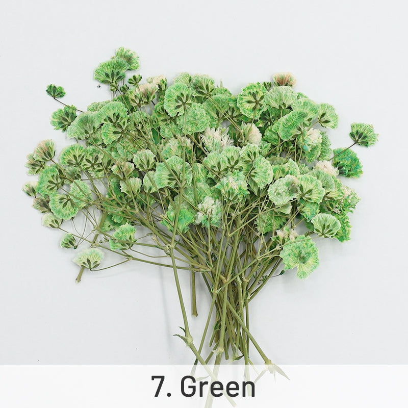 Pack de Material de Flores Secas DIY Gypsophila sku-7