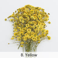 8. Amarelo