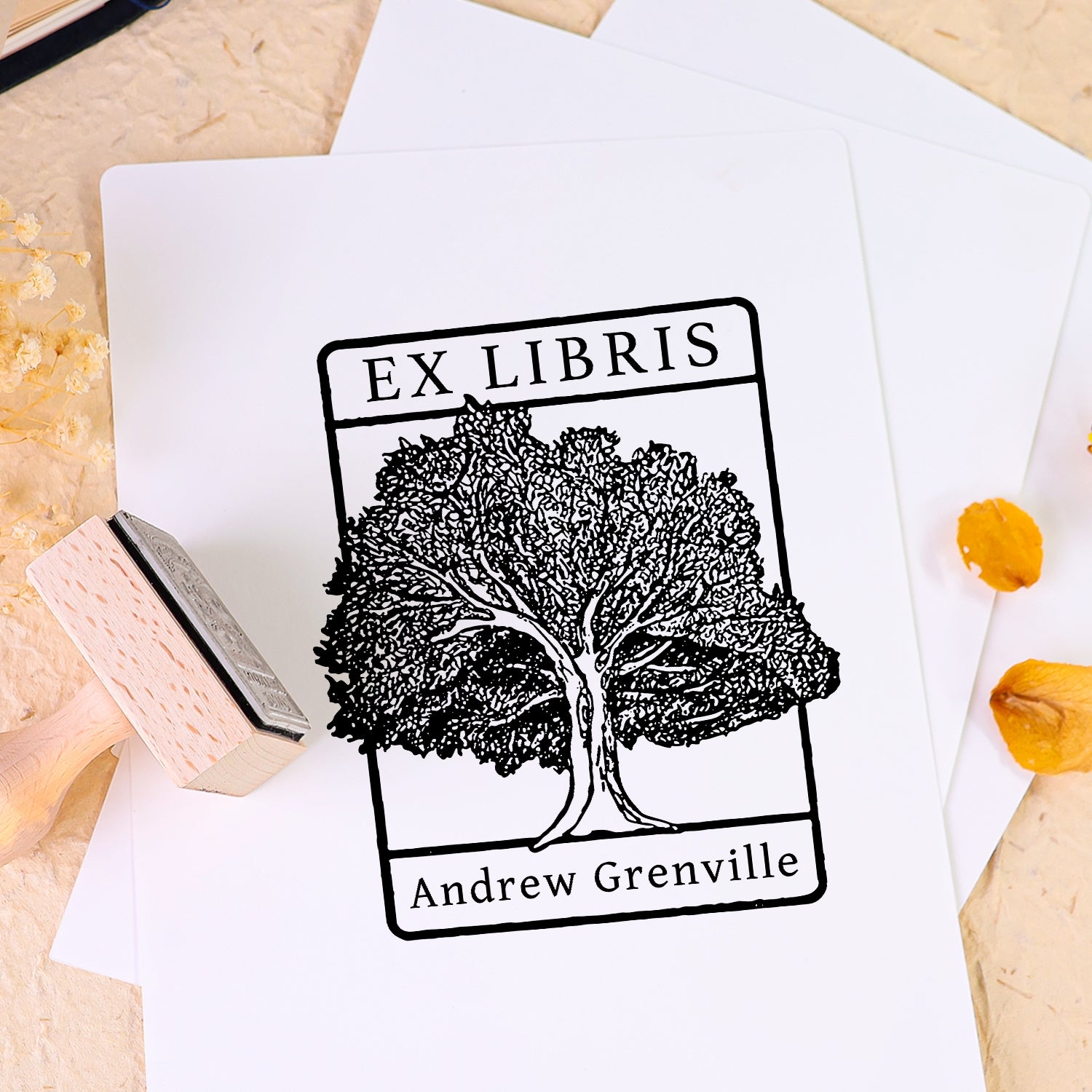 carimbo de borracha personalizado para livro uso livro 2