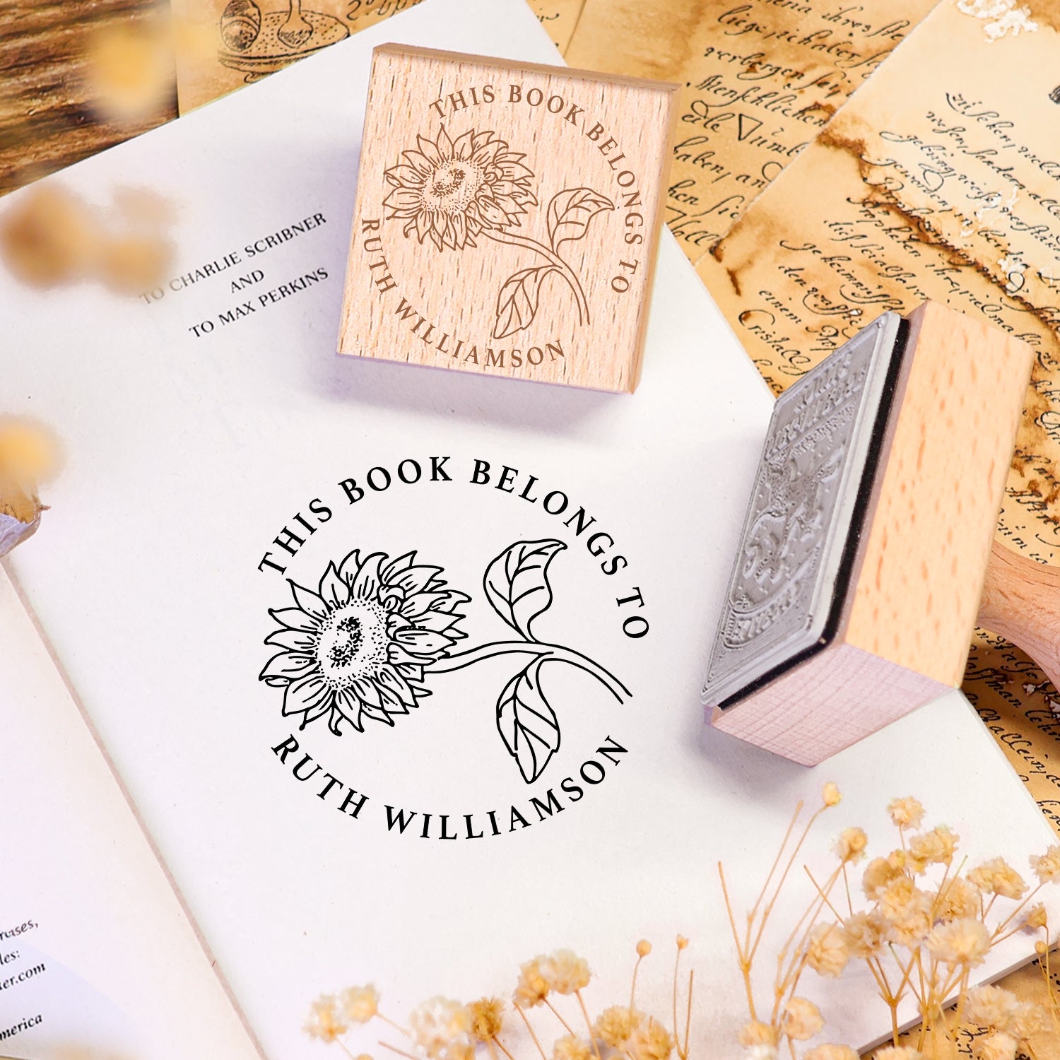 Carimbo de Borracha de Madeira Ex-Libris de Livro Personalizado Twin Soaring Swallow 2