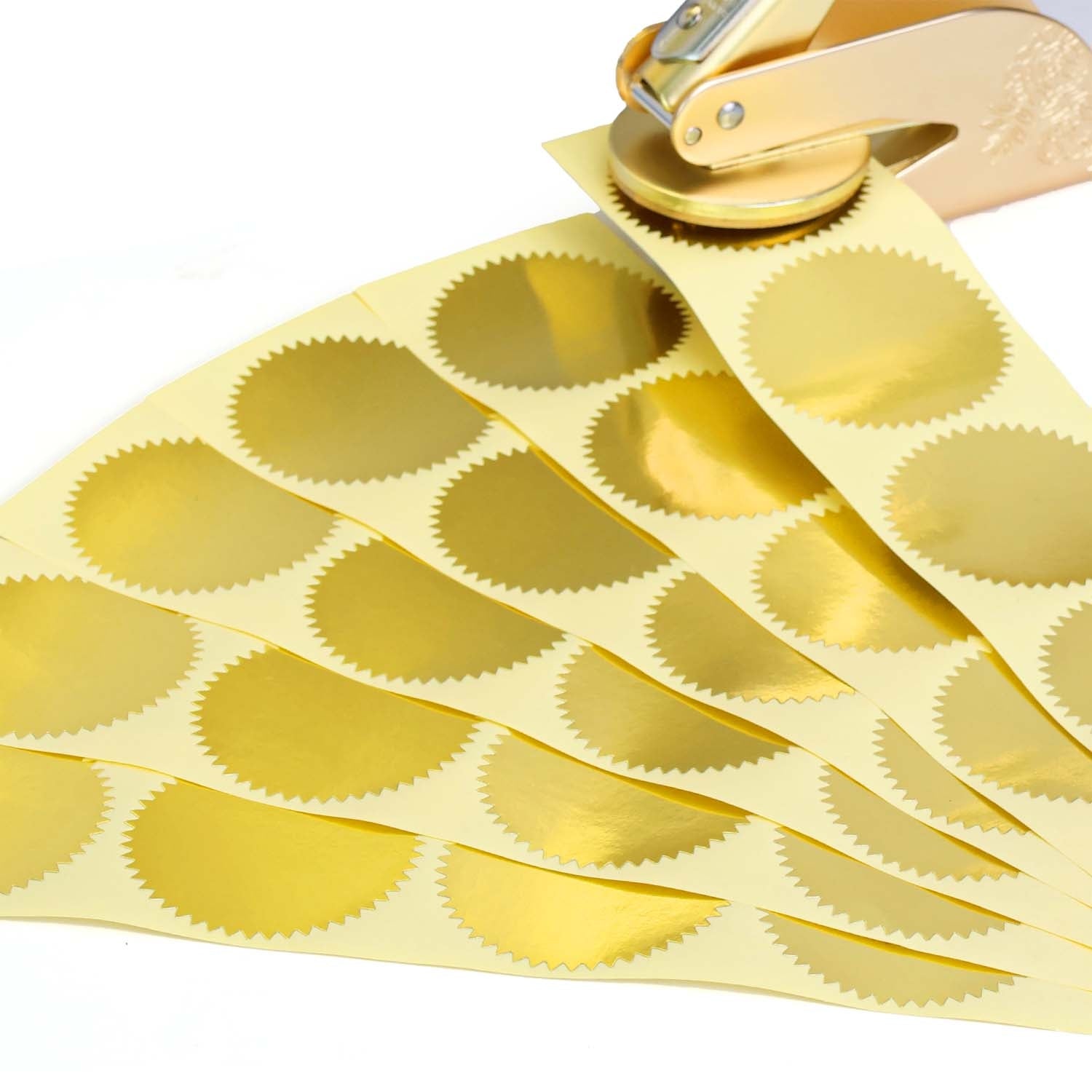 Embosser Companion Blank Label Stickers - 100 Pcs2