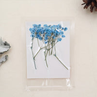 2. Blue