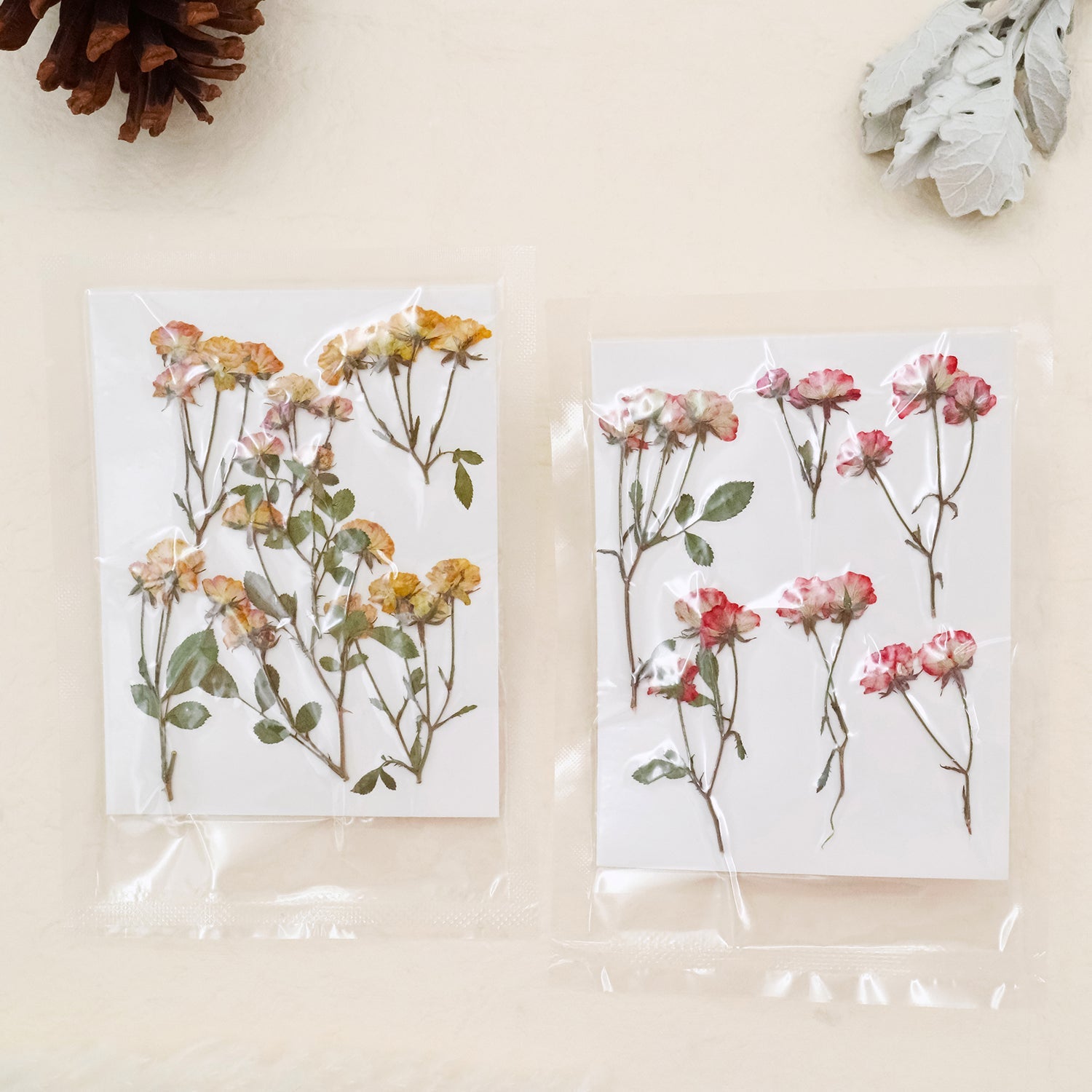 Stamprints Dried Pressed Spray Roses-1