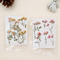 3. Complete Set, Save More